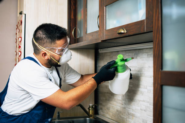 Best Insect Control  in Boonville, IN