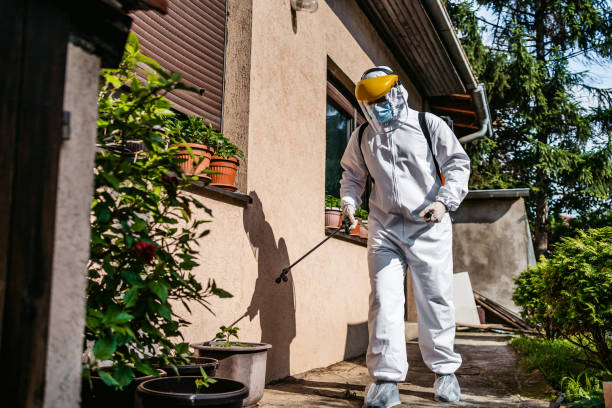 Best Pest Control Treatment  in Boonville, IN