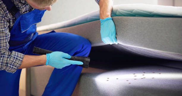 Professional Pest Control in Boonville, IN
