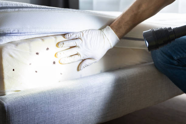 Best Affordable Pest Control Services  in Boonville, IN