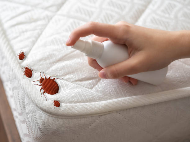 Best Pest Control Near Me  in Boonville, IN