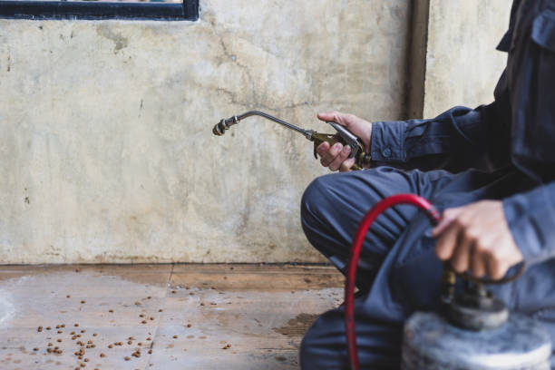 Best Wasp Removal Services  in Boonville, IN