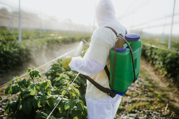 Best Commercial Pest Control Services  in Boonville, IN